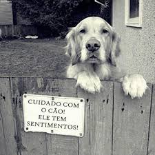 CHICO, O CÃO DE GUARDA